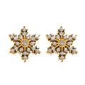 Gold Tone Snowflake Stud Earrings Set With Zircon Stones view 5