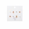 Brown Bear