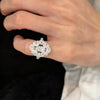 Silver Cluster