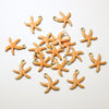 Orange Starfish