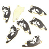 Gold Black Cat