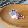 Gray White Pig