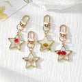 Gold Star Dried Flower Resin Keychains Four Floral Styles view 1
