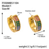 F930 Multicolor-Medium Earrings
