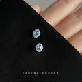 Silver Tone Pale Blue Oval Stone And Clear Floral Halo Stud Earrings view 4