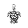 Gray Turtle 1