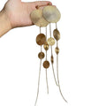 Gold Textured Disc Extra Long Chain Drop Earrings Jewelry Accessory view 5