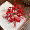 Red Lily Cluster