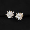 Pearl Daisy