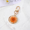 Orange Daisy
