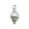 Gray Seashell 1