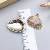 Gold Seashell 6