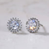 E790 Silver