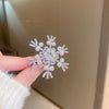 Silver Snowflake