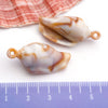 Blue Seashell 8
