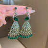 Green Peacock