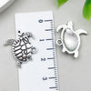 White Turtle 2