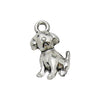 Gray Dog 5