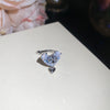 Silver Butterfly