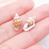 White Seashell 3