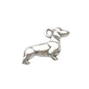 Gray Dog 4