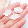 Clear White Leaf