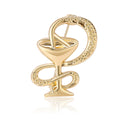 Medical Serpent Emblem Crystal Brooch in Silver or Gold Tone view 5