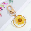 Round Yellow Flower