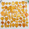 Yellow Leaf