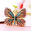 Pink-Blue Colorful-Butterfly