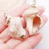 Red Seashell 7