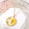 Yellow Daisy