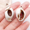 Brown Seashell 10