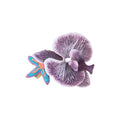 Fabric Flower Duckbill Hair Clips Peach Mint Purple Orchid view 5