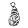 Gray Seashell 2