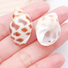 White Seashell 2