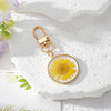 Yellow Daisy
