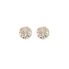 Gold Magnetic Studs