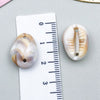 Yellow Seashell 2
