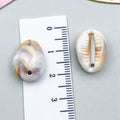 Beige Seashell and Starfish Shell Charms with 38 Listed Options view 7