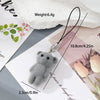 Gray Bear