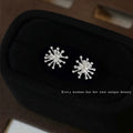 Silver Tone Dandelion Burst Stud Earrings For Women view 1