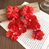 Red Cluster B