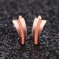 Curved Double Bar Hoop Earrings in Rose Gold Tone with Clear Crystal Details view 3
