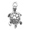 Gray Turtle 2