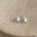 Silver Tone Matte Sculpted Star And Clear Stone Stud Earrings view 4