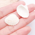Natural Shell Conch Bead Charm Pendant for DIY Earrings Necklace and Hat Jewelry