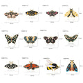 Gold Tone Silver Tone Butterfly Twelve Designs Metal Brooch Pin view 2