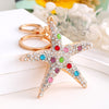 Multicolor Starfish