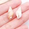 Yellow Seashell 8